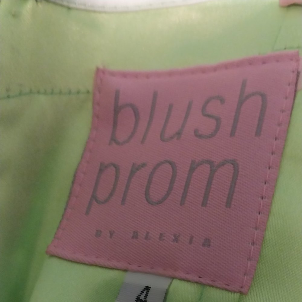 Size 4 porm dress